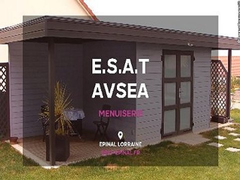 Travail protégé, - A Epinal dans les Vosges (88) - ESAT AVSEA