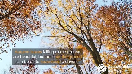 The dangers of fall driving