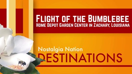 Flight of the Bumblebee at Home Depot in Zachary, Louisiana