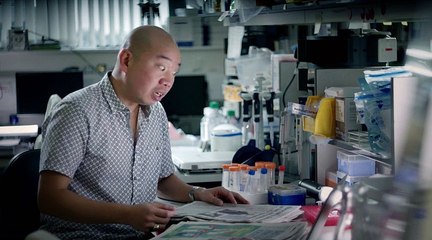 Почему мы толстеем