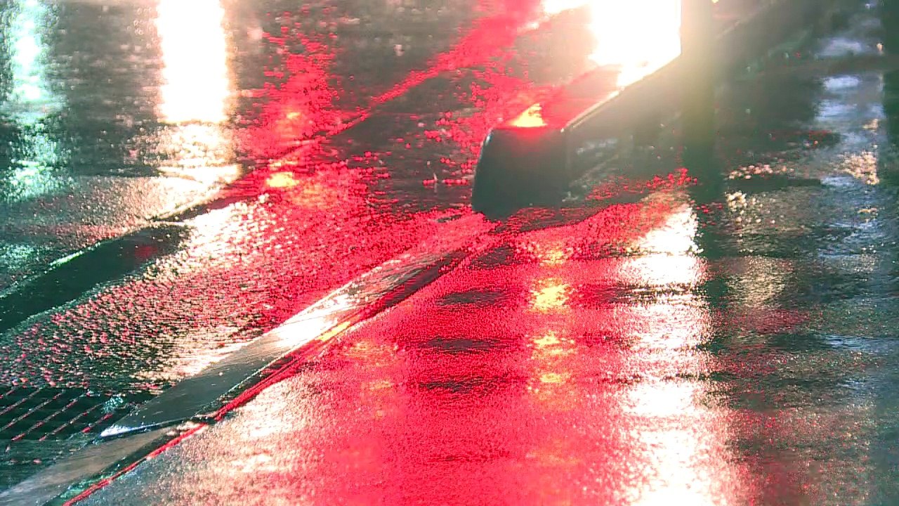 Typhon Trami: fortes pluies à Tokyo