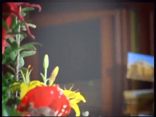 Rex, chien flic S02E06 FRENCH