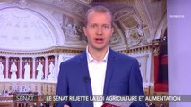 Le sénat rejette la loi agriculture et alimentation - Les matins du Sénat (01/10/2018)