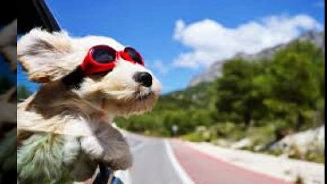 대전출장안마 010s7326s7786신용후불제 아가씨만남후 결제 대전출장마사지 최고미녀대기중 마인드최고 교육철저 대전출장맛사지 내상절대불가 수질최한 안전한신용후불제 20대아가씨대기중 극한수위 특별한서비스