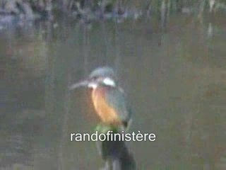 Anse du petit moulin