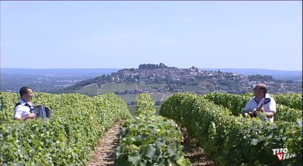 Vendanges en Sancerrois par l' Orchestre Dominique et Stéphanie Floquet