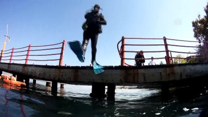 Batırılan emektar vapur su altı yaşamını canlandırdı - KOCAELİ