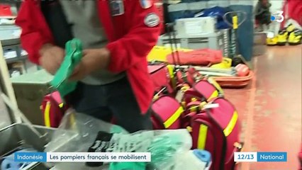 Tsunami en Indonésie : les pompiers français se mobilisent