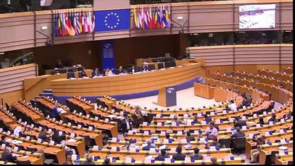 PTI Senator Faisal Javed Speech at the European Parliament(1)