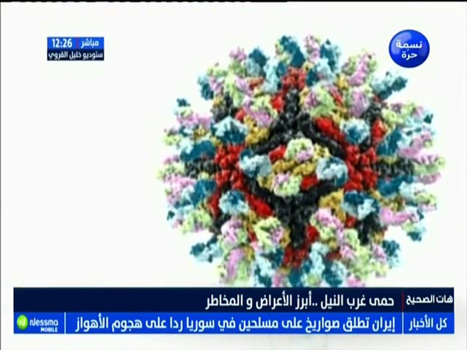 هات الصحيح الجزء الأول : أزمة سياسية وأخرى إجتماعية.. أي حلول؟ مع الضيف عبدالله العبيدي -قناة نسمة