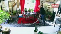عالم فرنسي يربي 400 نوع من الزواحف في منزله