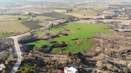 Deli Zeytini Akıllı Yaptılar...zeytinin Yetiştiği Bölge Havadan Böyle Görüntülendi