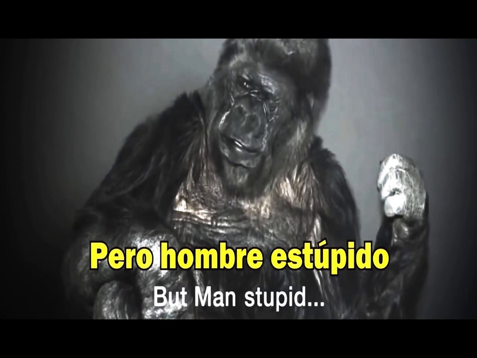 ANIMALES QUE HABLARON ANTES DE MORIR (DESGARRADORES MENSAJES) | OSCAR JACK