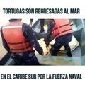 #NicaraguaSiempreLindaAyer 29 de septiembre, a las 8:00 PM efectivos militares del Puesto de Tropas Navales de Laguna de Perlas, ocuparon 6 tortugas verdes, tr