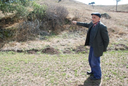 Soba Borusu Kalınlığındaki Dev Yılan, Köylülerin Kabusu Oldu