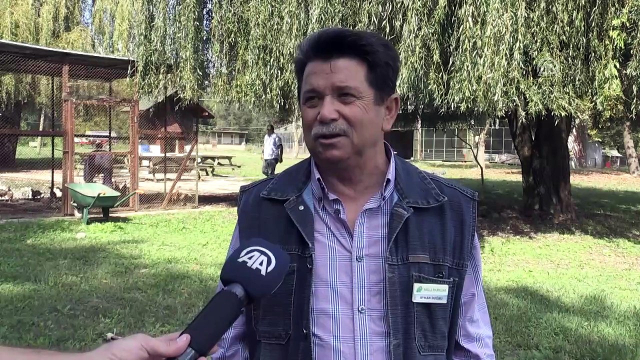 Teknisyen Ayhan dostu 'Şakir'i doğaya saldı - DÜZCE