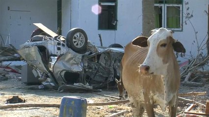 Scènes de désolation en Indonésie