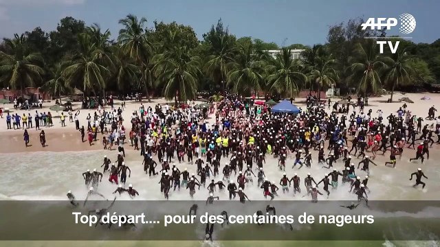 Sénégal: traversée à la nage Dakar-île de Gorée