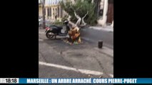 Marseille : un arbre arraché barre le cours Pierre-Puget