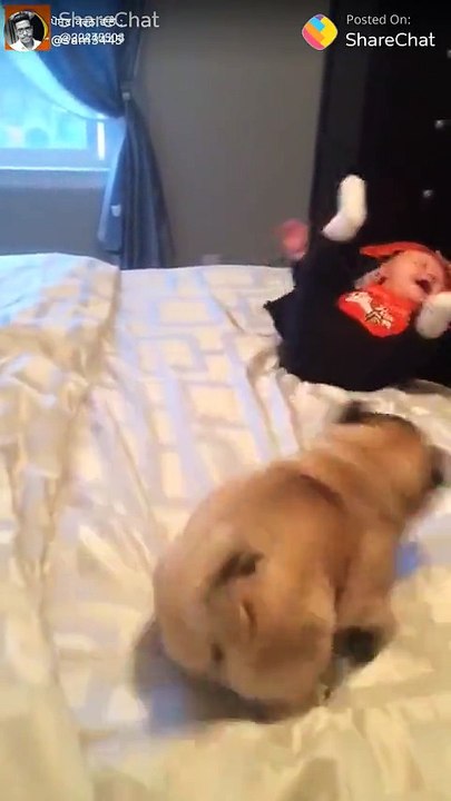 Cute baby video 2018
