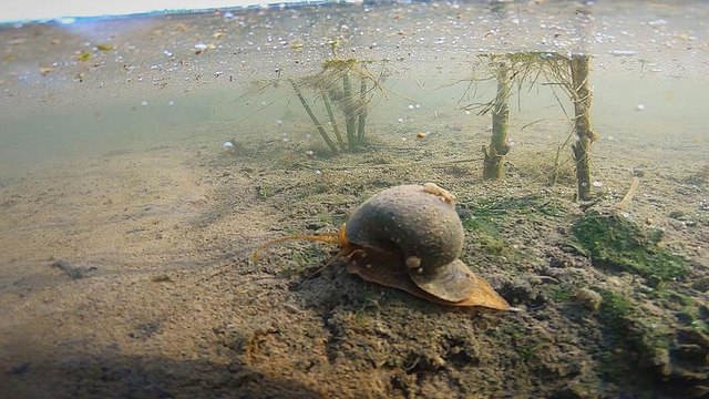Борьба с ползучей угрозой