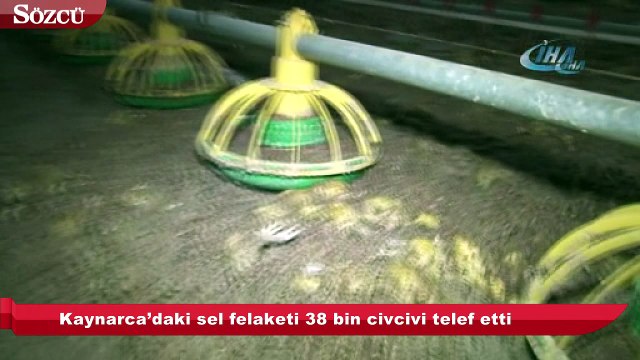 Kaynarca’daki sel felaketi 38 bin civcivi telef etti