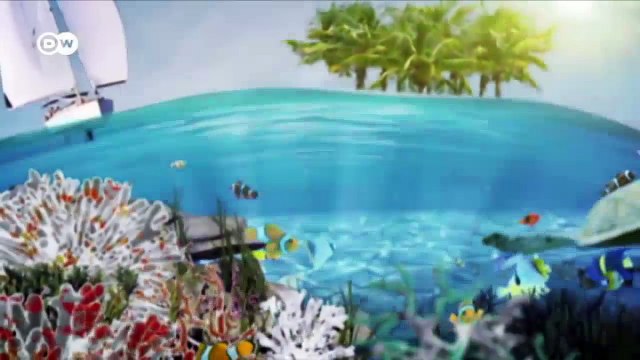 Mexikanische Fischer halten den Atem an | DW Deutsch