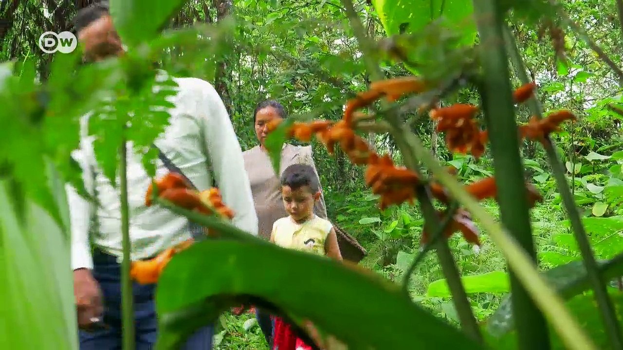 Ecuador: Schlemmen für den Regenwald | DW Deutsch