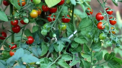 We bring you our grand finale video for our Tourism Awareness Campaign!! #TourismisMYBusiness