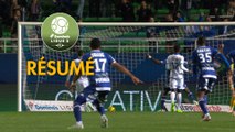 ESTAC Troyes - AJ Auxerre (1-0)  - Résumé - (ESTAC-AJA) / 2018-19