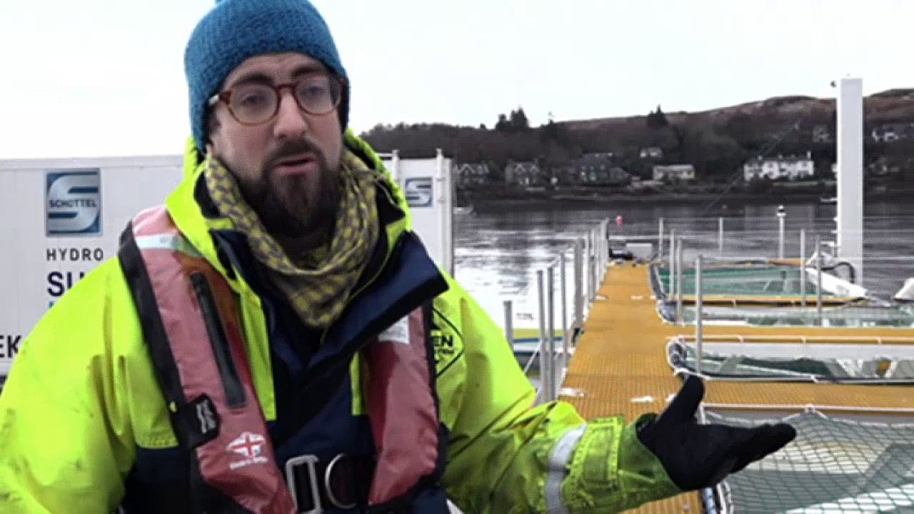 Die Pioniere der Gezeiten-Energie | DW Deutsch