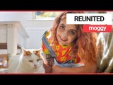 Owner reunited with cat that went missing for six years | SWNS TV