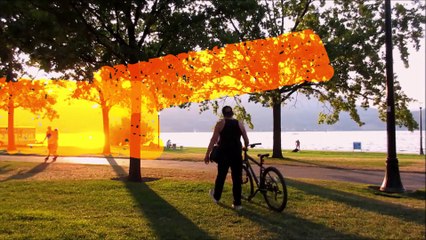 사무실개업화분 카페개업화분 식당개업화분 '59꽃배달'☎ (1833-5900)