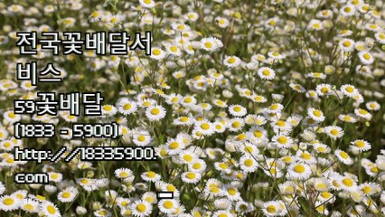 오픈화환 오픈화분 '59꽃배달'☎(1833-5900) 전국꽃배달서비스추천!