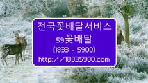 개업화분 개업화환 저렴한전국꽃배달서비스 59꽃배달(1833-5900)