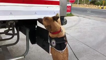 Bir tırda 141 kilo 730 gram eroin ele geçirildi - VAN