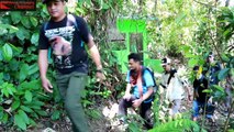 SECUIL HUTAN UNTUK ORANG UTAN