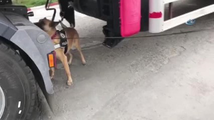 Eroin Paketleri Üzerine Dökülen Kuru Kahve Şila'ya Engel Olamadı.