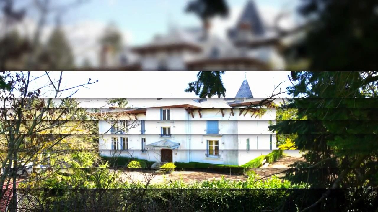A vendre - Maison bourgeoise - Tarare (69170) - 10 pièces - 350m²