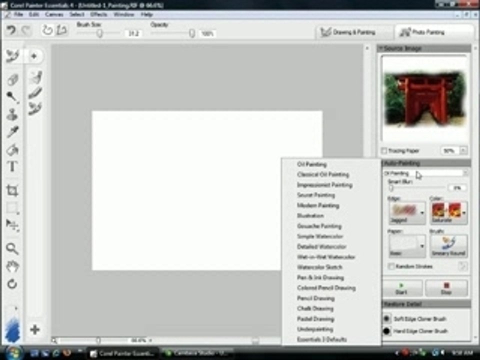 Corel Painter Essentials 4 - Rob McDonald