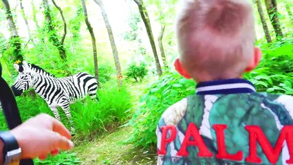 Huge Amusement Park for children Vlad and Nikita have Fun