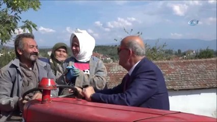 İznik'te Üretilen Kabaklar Yurt Dışına İhraç Ediliyor