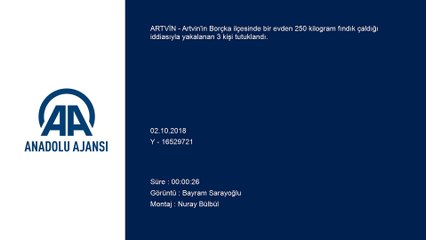 Fındık hırsızları tutuklandı - ARTVİN