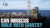 TALKING EDGE: Hibiscus keeps nimble among the giants