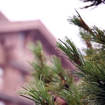 Les premières neiges de la saison sont tombées dans les Alpes