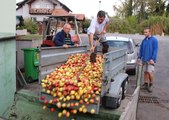 2018, année à pommes 