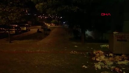 Edirne Polisi Gece Yarısı Başıboş Atları Kovaladı