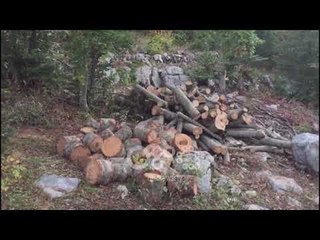 Ora News - Ekskluzive Ora News/Moratorium por pyjet priten, pamje nga masakra në Bogë