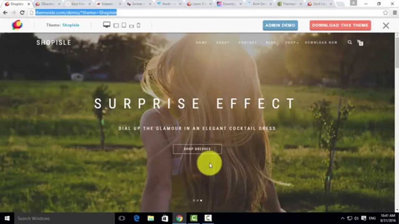 wordpress_tutorials_in_hindi_part_09___Top_10_free_themes_for_2016