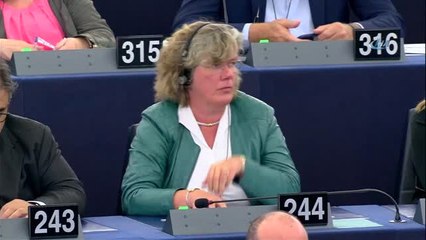 Avrupa Parlamentosu, Türkiye'ye 70 Milyon Euro'luk Kesintiyi Onayladı